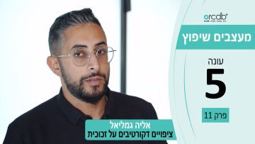 מעצבים שיפוץ עונה 5 פרק 11 – אליה ציפויים – מחיצות זכוכית למשרדים, ציפוי חלון חלבי