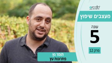 מעצבים שיפוץ עונה 5 פרק 12 – תומר גץ – סטנדרט חדש של פתרונות עץ