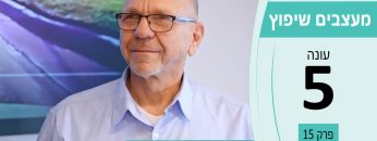 מעצבים שיפוץ – עונה 5 – פרק 15 – אופטימל – נגרות אבן, שיש ומשטחי קוריאן