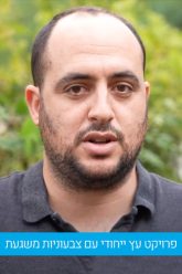 תומר גץ – סטנדרט חדש של פתרונות עץ