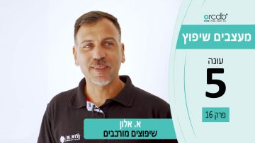 מעצבים שיפוץ עונה 5 פרק 16 – א. אלון – שיפוצים מורכבים